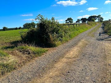 Lane leading to the field