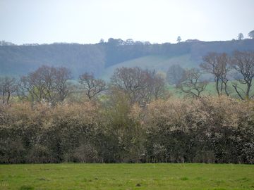 Sheltered pitches