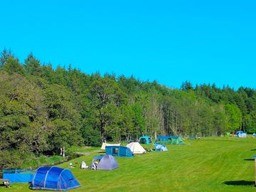 Fabulous sunny weekend, the large by the beck pitched fully booked
