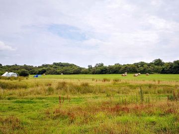 Acres of space to find your perfect pitch