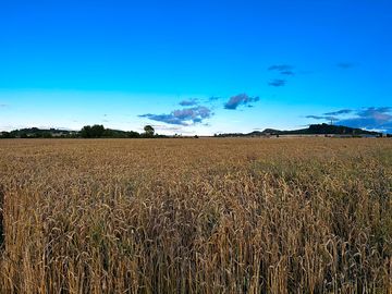 Garleton hills and the landmark hopetoun monument