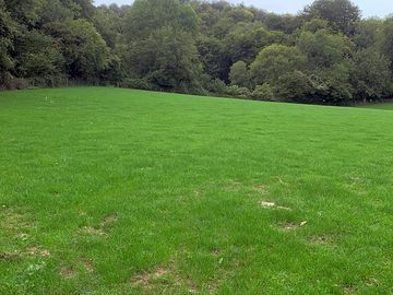 Looking towards the nature reserve