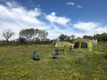 Buddy pitches for friends and family that want to camp closer together than our standard pitches