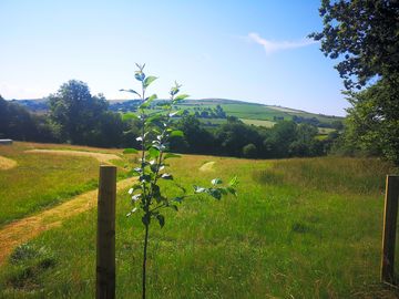 The view from the edge of the area