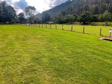 Plenty of space and forested hill views