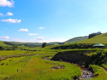 Stream by the site