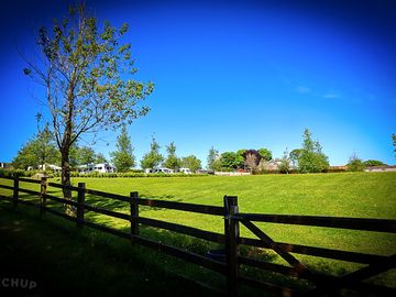 Grass pitch