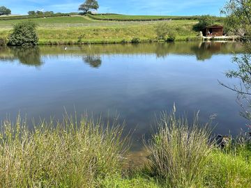 Lake on site