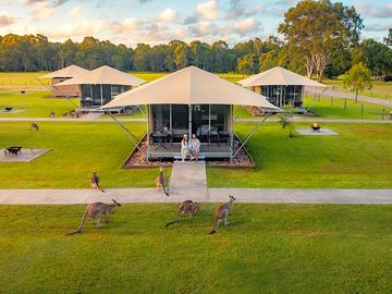 Our paperbark glamping tents is like a hotel room within canvas.