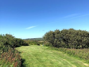 Around the site