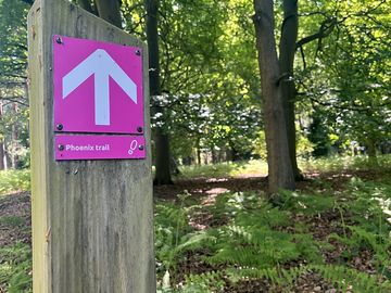 Walks from the site into rendlesham forest