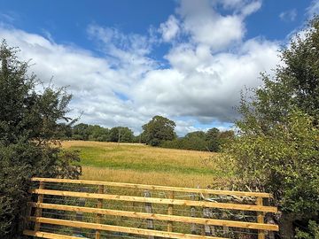 Camping meadow