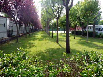 There are plenty of green areas around the site