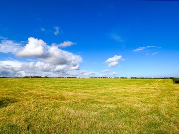 Grassy pitches