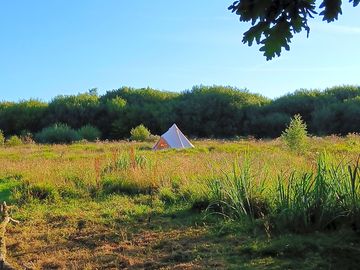Bell tent in the meadow