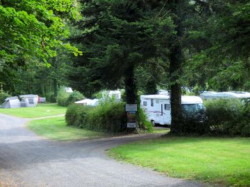 Grassy site