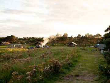 A view of the site