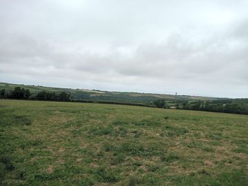 Site field