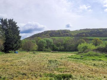 Peaceful, remote location