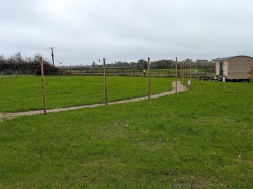 Field