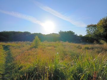 Sunrise at the site