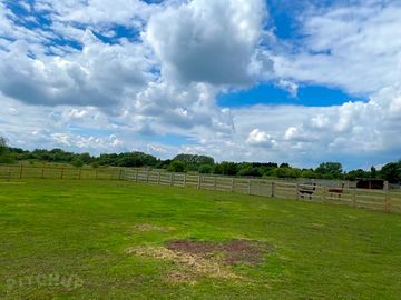 Tent field