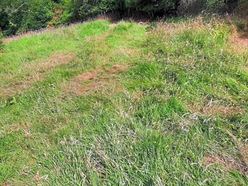 Grass pitches