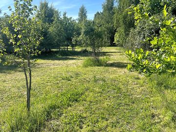 Pitches surrounded by trees