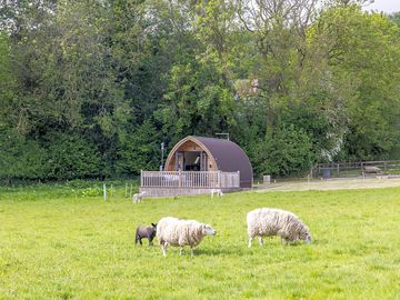 Camping pod