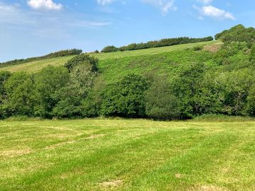 View from the site