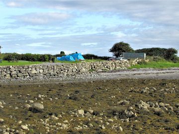 The site at low tide