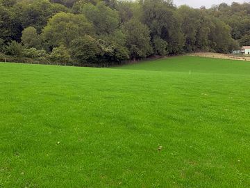 Rural scenery