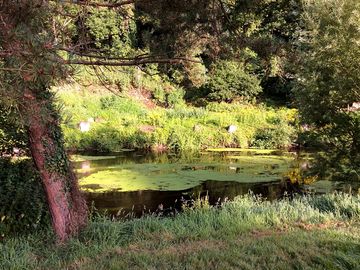 On the banks of the trieux river
