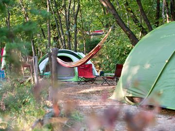 Shaded tent pitch