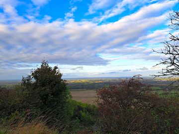 The view