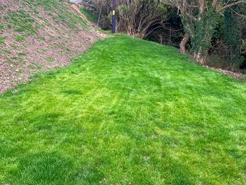 Lovely lawns