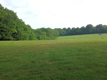 Grassy pitches