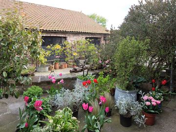 Reception garden.