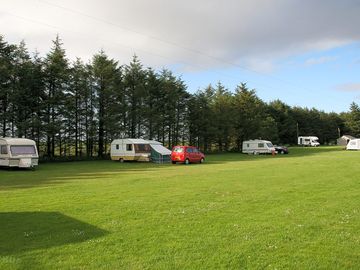 Pitches among the trees