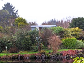 Shepherd's hut surrounded by plants
