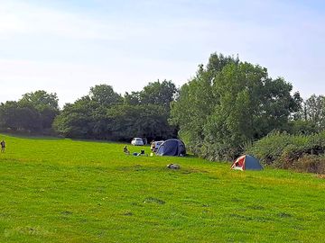 View of the site