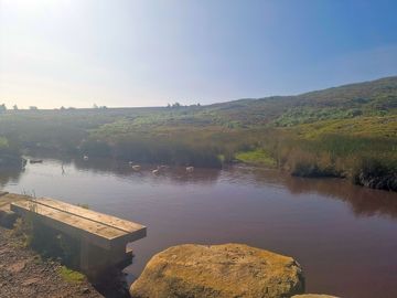 Pond