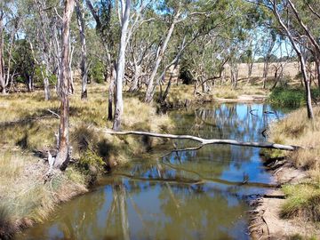 Creek front water