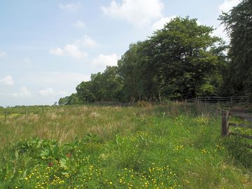 Area for wild camping