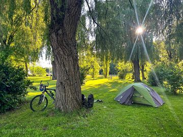 Shaded grass pitches