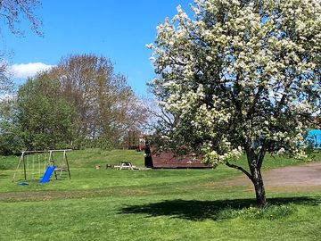 Pear tree and one of the swing sets