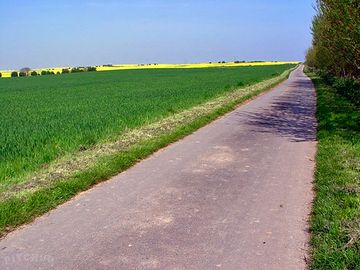 Nearby walking