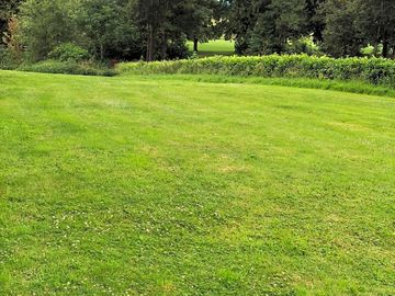 Pitch site