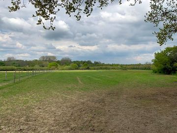 View across the pitches