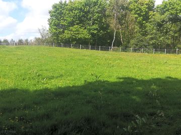 Camping field